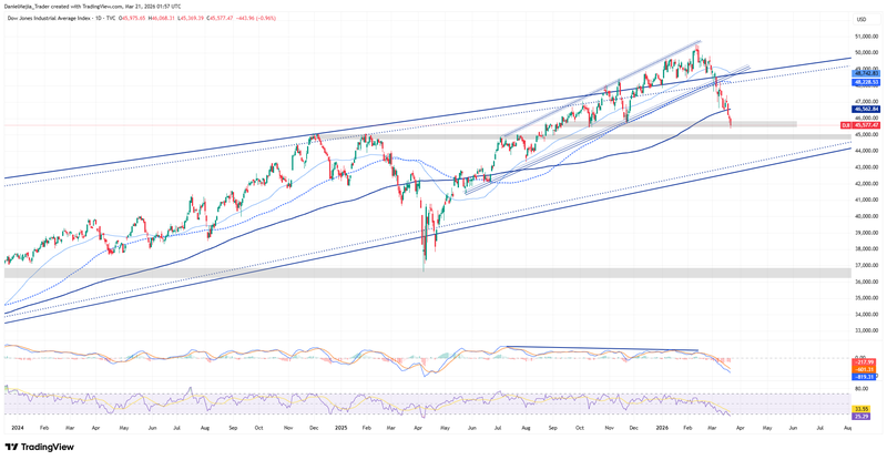 DJI_Technical_March20