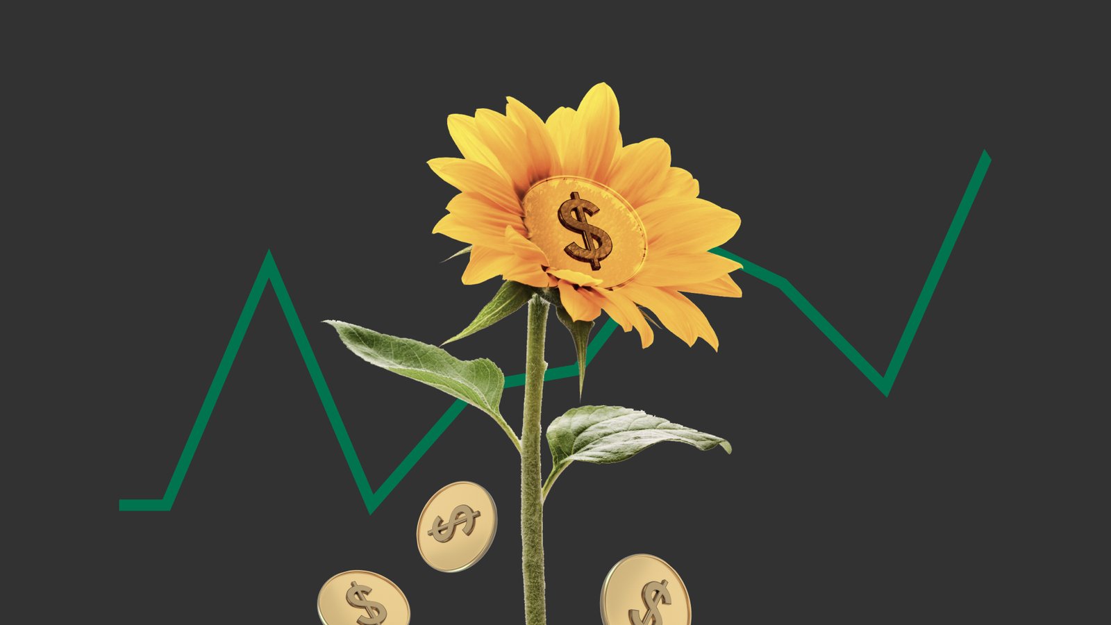 Grow Your Wealth