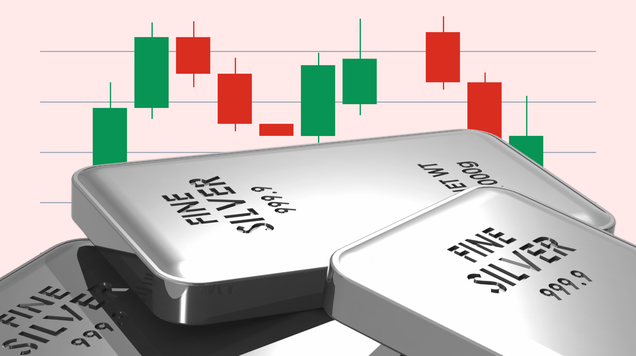 Silver 309
