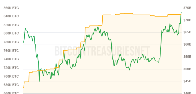 strategy  Bitcoin holding